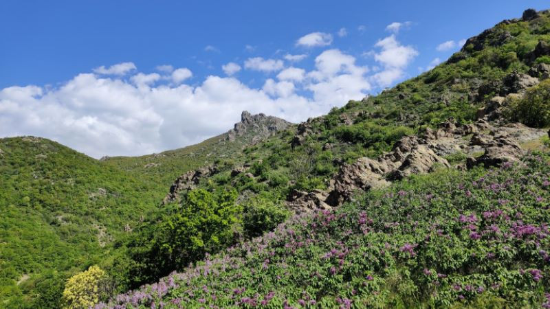 Природозащитната организация За да остане природа в България алармира, че